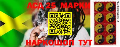 гидропоника Дубна