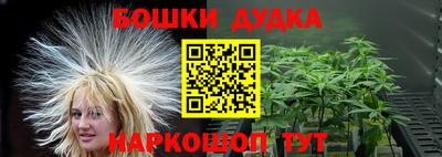 гидропоника Дубна
