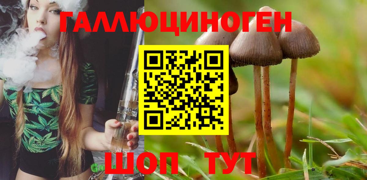 Лабинск  Галлюциногенные грибы Psilocybine cubensis  как найти закладки  Вход с VPN  Псилоцибиновые грибы мухоморы 