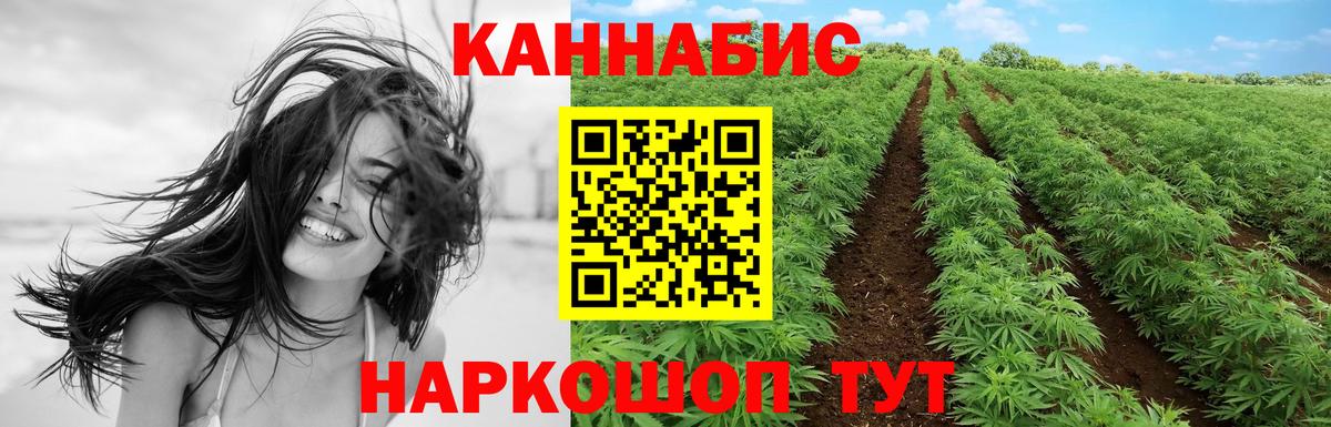 Канабис планчик Лабинск